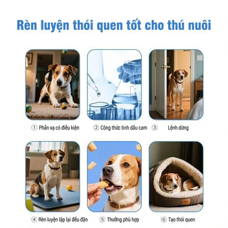 🐶💥 XỊT NHẸ – MÈO CHÓ KHÔNG CÒN QUẤY PHÁ 💥🐶BAO xịt xua đuổi chó mèo  xua đuổi chó mèo
