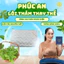 Lõi ngải cứu, lõi điện, vỏ thảm thay thế cho thảm điện, đai điện chính hãng Phúc An, ngải cứu nguyên chất