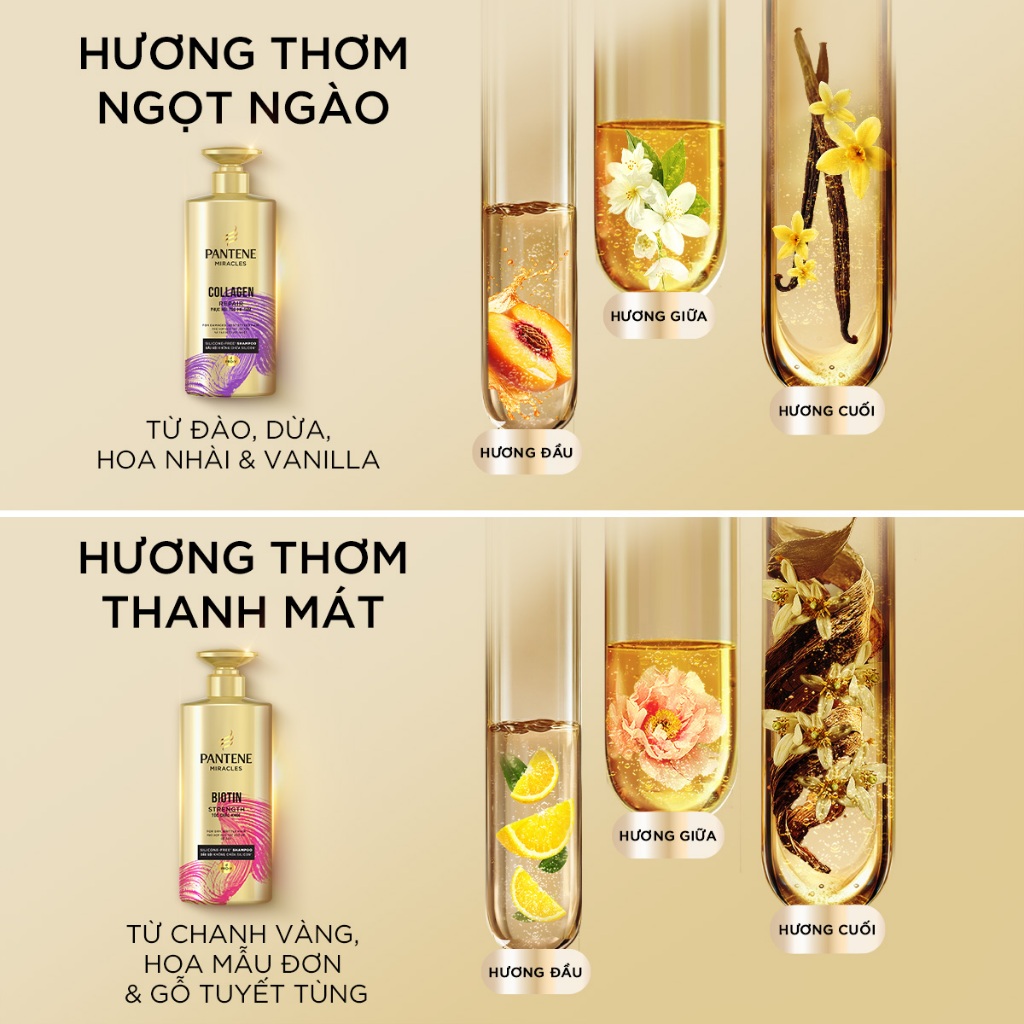 [LS] Dầu Gội PANTENE MIRACLES 0% Silicon & Bổ Sung Dưỡng Chất Cho Tóc Chắc Khỏe/ Phục Hồi Hư Tổn - Chai 300ML/500ML | BigBuy360 - bigbuy360.vn
