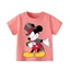 👕 Áo Thun Bé Gái mềm mịn thoáng mát in hình dễ thương 👕 AT721