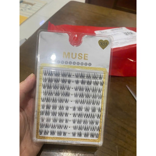 Mi MUSE X55 – Dáng Mi Tơi Nhẹ, Makeup Tự Nhiên Chuẩn Hàn