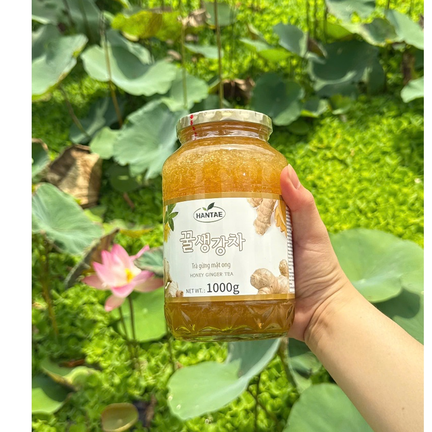 TRÀ GỪNG + TRÀ THANH YÊN MẬT ONG HANTAE HÀN QUỐC