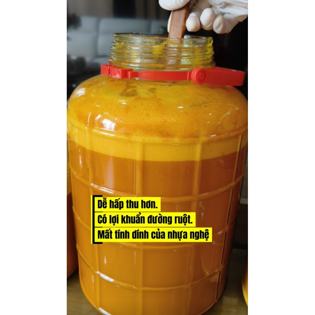 Cốt Nghệ Cái Mật Ong lên men (NGHỆ ĐỎ CỦ CÁI) DS THẢO
