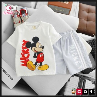 Đồ bộ mặc nhà chất thun cotton bé trai hoạ tiết hoạt hình đơn giản mà đẹp