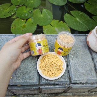 Combo phân thuốc dùng cho sen đá và xương rồng có sẵn tại vườn MẦM NẮNG GARDEN