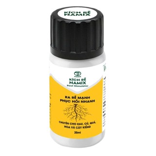 Kích rễ dùng cho Sen Đá và Xương Rồng, MẦM NẮNG GARDEN lỗi 1 đền 1