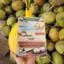 Dừa Sáp Đặc Arifarm _ Đặc Bi Size Nhỏ - Cơm dày béo dẻo