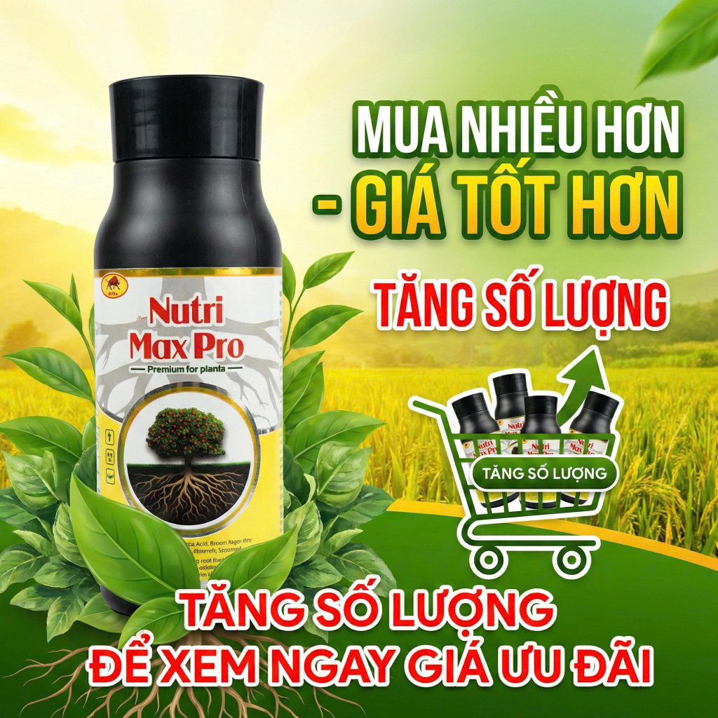 [NUTRI MAX PRO] Bung chồi, vọt đọt, chồi mập, rễ khỏe, lá xanh dày