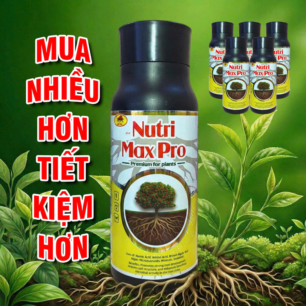 [NUTRI MAX PRO] Bung chồi, vọt đọt, chồi mập, rễ khỏe, lá xanh dày