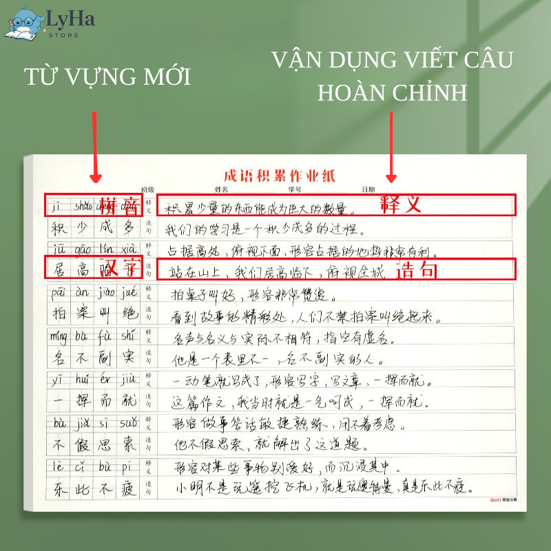 (50 tờ) Giấy Luyện Viết Tiếng Trung , Nhật , Hàn Tập Viết Câu Với Từ Vựng , Chuẩn Luyện Chữ HSK Cho Người Mới
