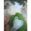 HẠT ĐÁC NON CHUYÊN MỀM -TOPPING CHÈ, SÂM BỔ LƯỢNG , TRÀ TRÁI CÂY