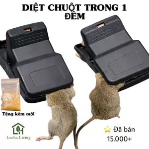 BẪY CHUỘT TỰ ĐỘNG - Thiết Kế Thông Minh Bắt Chuột Nhanh Chóng