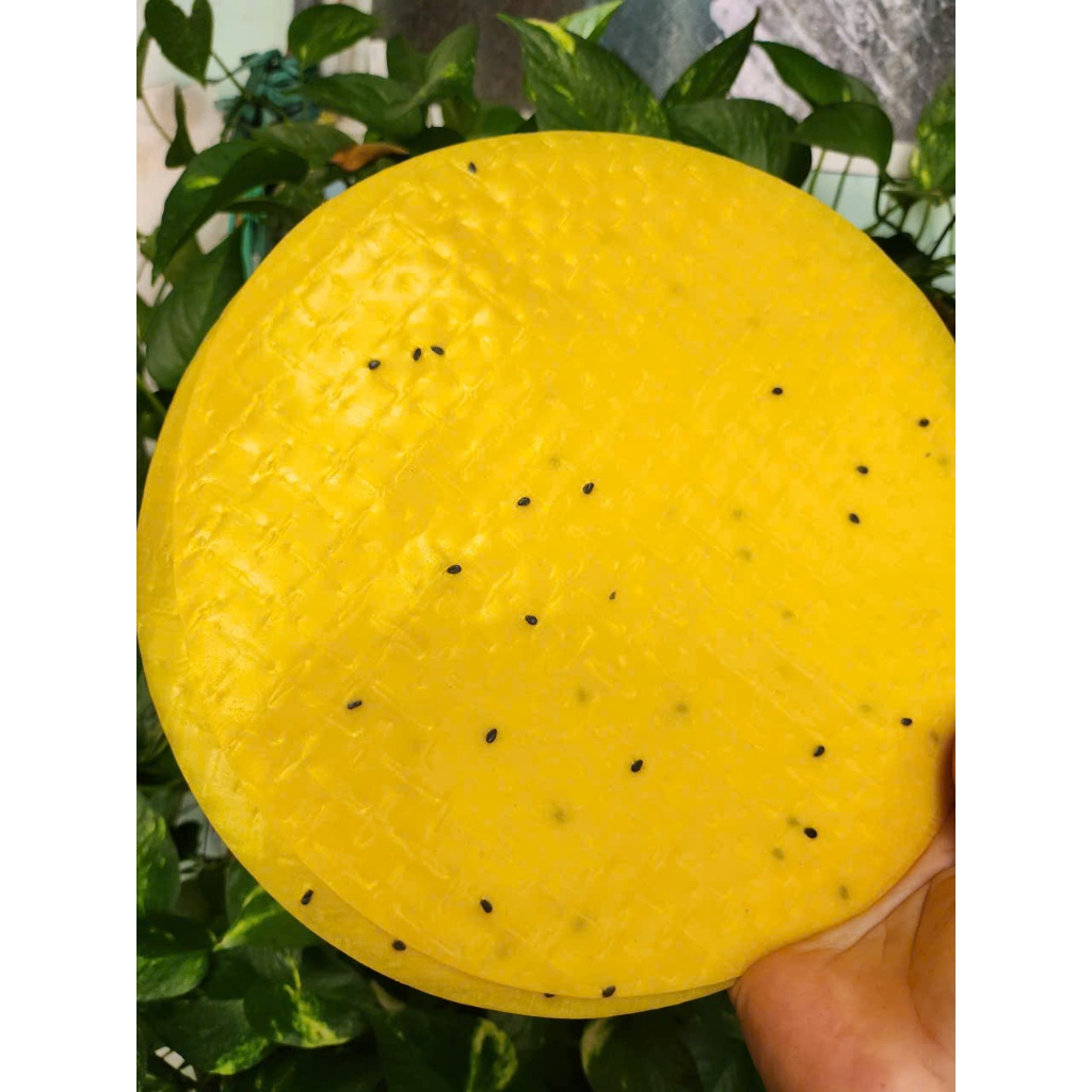 Vỏ Bánh tráng nướng Vàng,Trắng giòn tan Loại Ngon 1ký