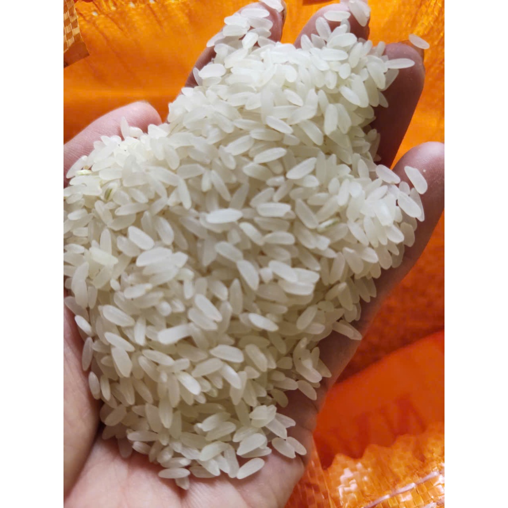 Gạo Hương Lài Long An Mới Bao 10kg, Dẻo Mềm, Thơm Hương Lài Tự Nhiên