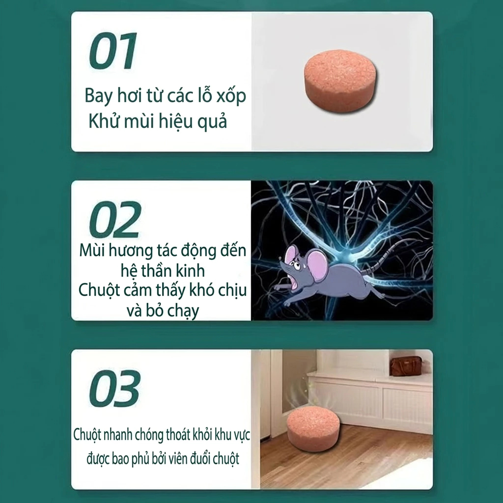 🐀 Đuổi chuột và côn trùng hiệu quả 🐭 Gel/thuốc thảo mộc đuổi chuột – Dùng trong xe hoặc nhà, hiệu quả lên tới 99.9% ✅