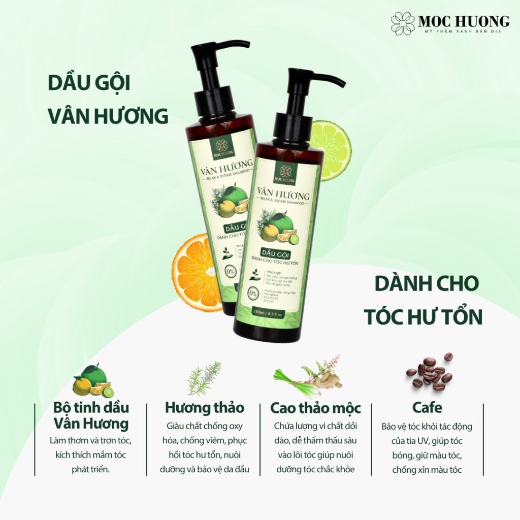 Dầu gội vân hương _ chai 38ml/250ml, hỗ trợ thư giãn da đầu | SYNACO