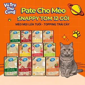 Combo 12 Gói Pate Snappy Tom Trái Cây, Rau Củ Cho Mèo, Gói 70g