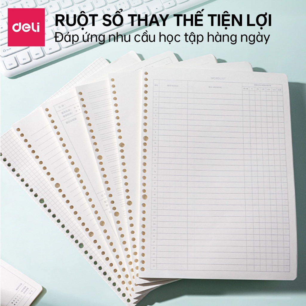 Giấy Refill Ruột Sổ Còng Deli A5/B5 Thay Thế Tiện Lợi (Tập 60 Tờ) - Giấy Trơn, Kẻ Ngang, Caro Ghi Chú, Học Từ Vựng,70gsm