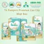 Pampers Premium Nội Địa Nhật – Siêu Mềm, Siêu Mỏng, Dịu Êm Cho Da Nhạy Cảm, Khô Thoáng Cho Bé