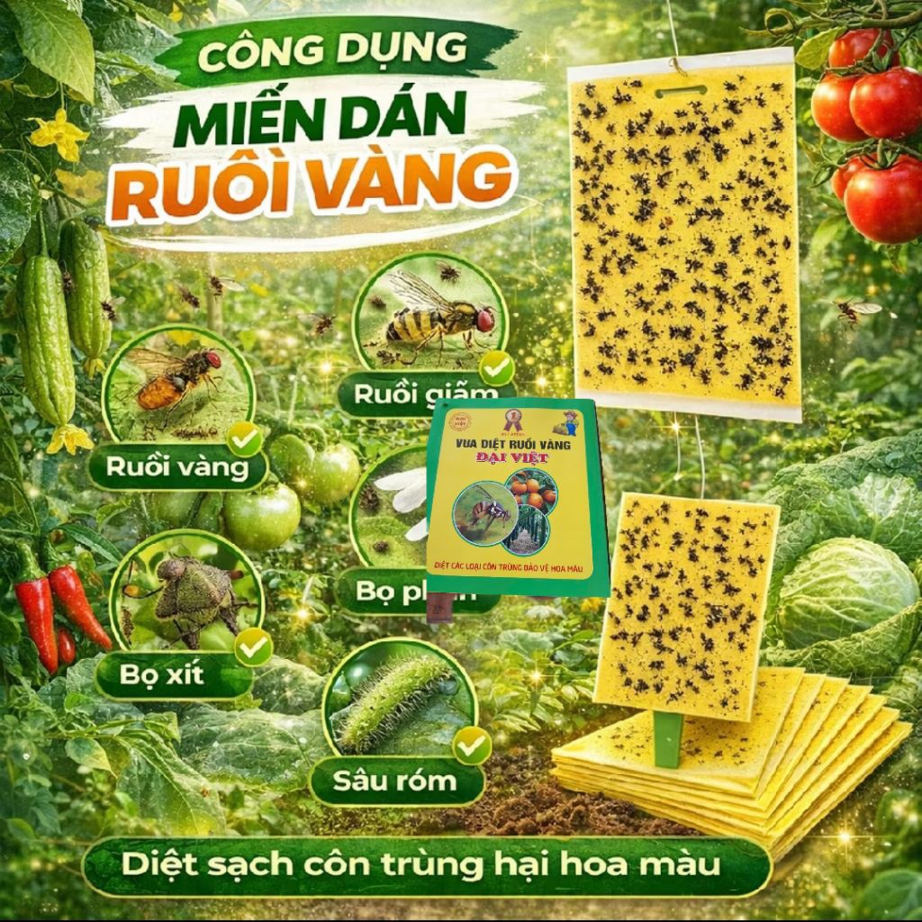 Miếng Dán Ruồi Vàng Siêu Dính, Bảo Vệ Cây Trồng Cực Đỉnh Rất Dễ Sử Dụng