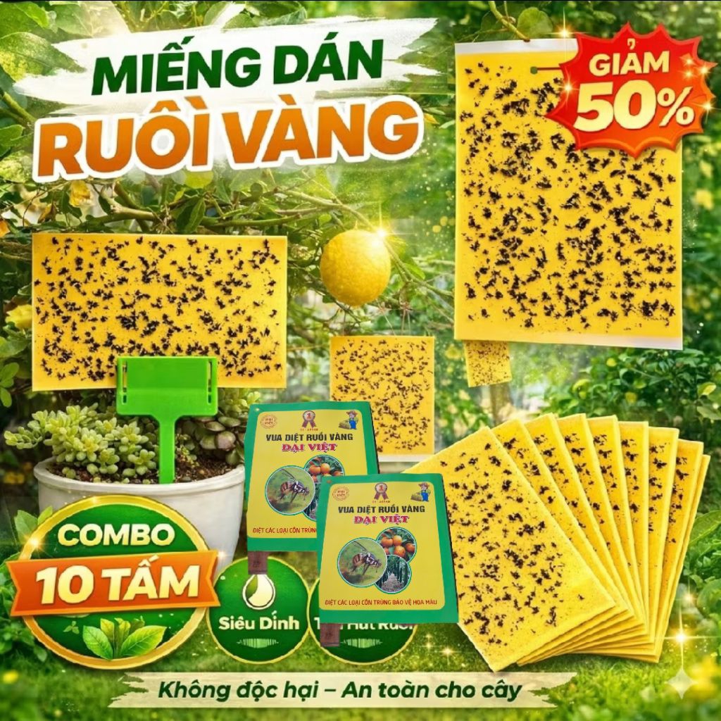 Miếng Dán Ruồi Vàng Siêu Dính, Bảo Vệ Cây Trồng Cực Đỉnh Rất Dễ Sử Dụng