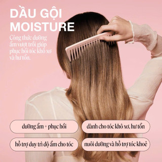 Combo Dầu Gội & Dầu Xả MONDAY 50ml Mini Size Du Lịch