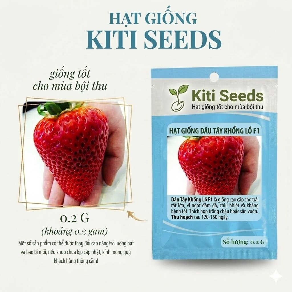 Hạt giống Dâu Tây Chịu Nhiệt – Hạt Giống F1, Quả To Ngọt, Trồng Quanh Năm