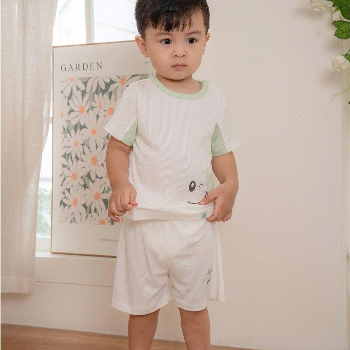 Bộ Cộc Tay Tăm tre kháng khuẩn [ Siêu Mềm, Mát, Mịn Co Dãn Và Thấm Hút Mồ Hôi Tốt] Size 6M - 4Y (HCT24)