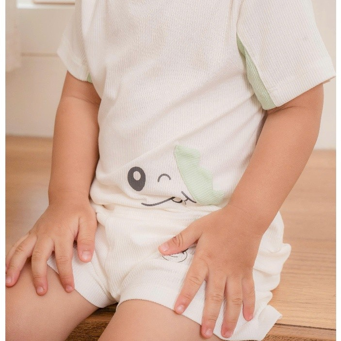 Bộ Cộc Tay Tăm tre kháng khuẩn [ Siêu Mềm, Mát, Mịn Co Dãn Và Thấm Hút Mồ Hôi Tốt] Size 6M - 4Y (HCT24)