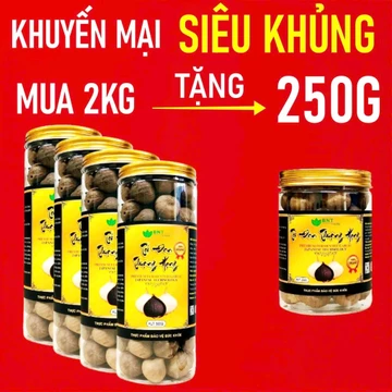 [LOẠI VIP-ĐẶC BIỆT] 1KG Tỏi đen cô đơn BNT FARM, công nghệ Nhật, giảm mỡ máu, huyết áp, tim mạch,xơ gan, ngừa ung thư