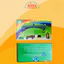 Tổng Hợp Bộ Thực Hành Cộng Nghệ - Kỹ Thuật - Thủ Công Lớp 4 - 5