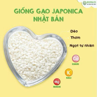 Gạo Japonica cho bé Ăn Dặm Anpaso 1kg - Giống gạo Nhật Bản chứa nhiều vitamin và khoáng chất
