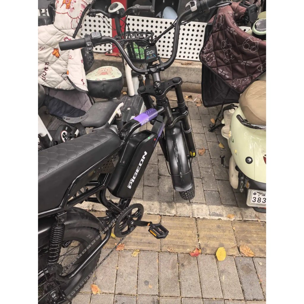 Xe đạp trợ lực điện oder- sẵn trắng 25Ah | BigBuy360 - bigbuy360.vn