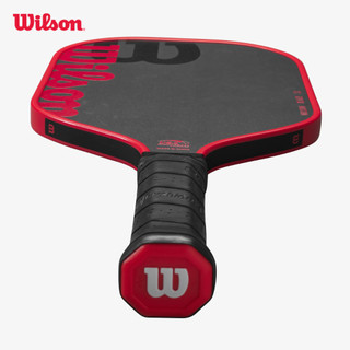 Wilson Blaze 13 Vợt Pickleball Paddle WR157911U2