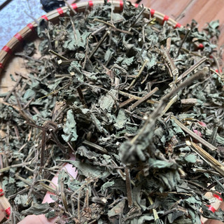 Lá Hương Nhu Khô Tự Nhiên 100% – Gội Đầu, Xông Hơi, Thảo Mộc – Dược Quý Thiên Phúc
