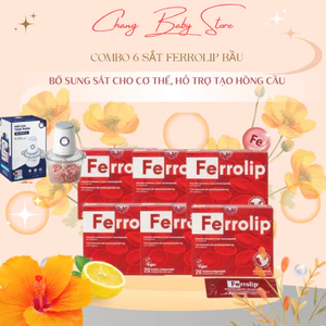 Combo 6 Ferrolip tặng máy xay 2L Bổ sung sắt cho cơ thể, hỗ trợ tạo hồng cầu
