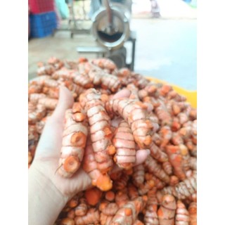 500GR Tinh Bột Nghệ CÀ RỐT - Tinh bột nghệ nguyên Đăk Lăk