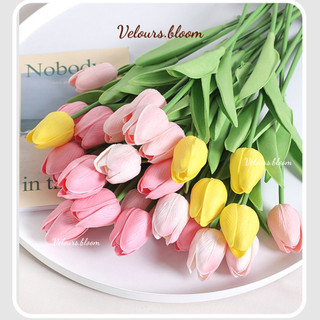 Cành Hoa Tulip Giả Phong Cách Hàn Quốc Velours.bloom – Decor Phòng Ngủ Cực Chill