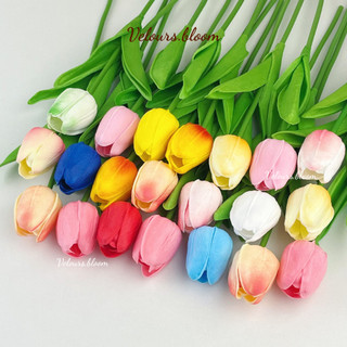 Cành Hoa Tulip Giả Phong Cách Hàn Quốc Velours.bloom – Decor Phòng Ngủ Cực Chill