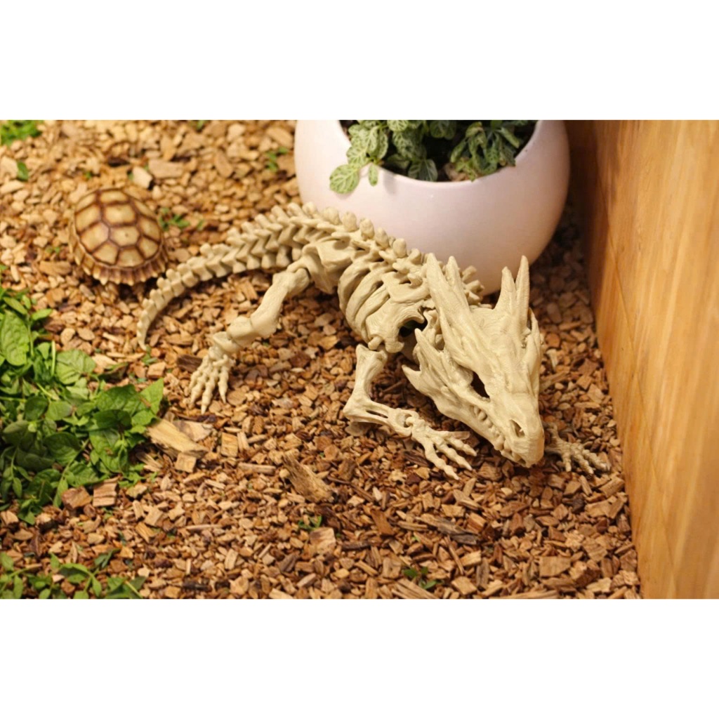 Mô hình bộ xương Rồng 3D dùng để Trang Trí tiểu cảnh thủy sinh, Chuồng Rùa và Bò Sát
