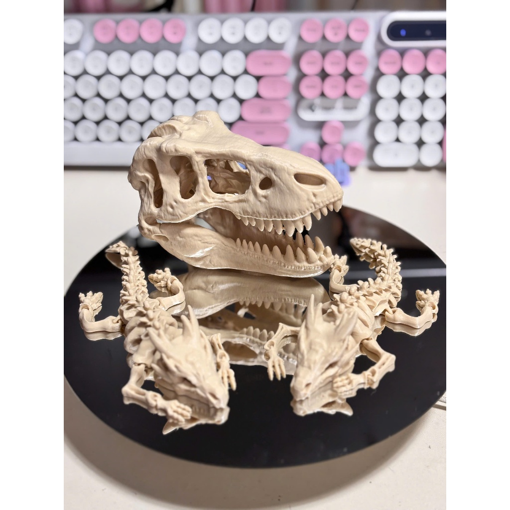 Mô hình bộ xương Rồng 3D dùng để Trang Trí tiểu cảnh thủy sinh, Chuồng Rùa và Bò Sát