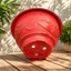 Chậu Nhựa T68 Size To - Chậu có lỗ thoát nước: trồng cây cảnh, cây ăn trái,.. [66x30]