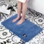 Thảm Lau Chân Nỉ Siêu Thấm Hút Nước Chống Trơn Trượt 40x60cm - Dùng Cho các phòng