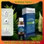 Dung Dịch Kẽm Chấm Mụn Compliment No Problem BHA & ZinC Giảm Sưng, Gom Khô Cồi Mụn 30ml của Nga
