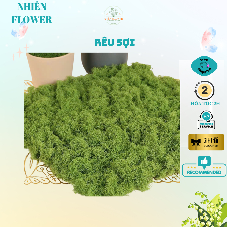 Rêu Sợi Dùng Trang Trí Tiểu Cảnh, Phủ Gốc Cây Bonsai, Phủ Chậu Hoa, Decor và Trang Trí Nhà Cửa