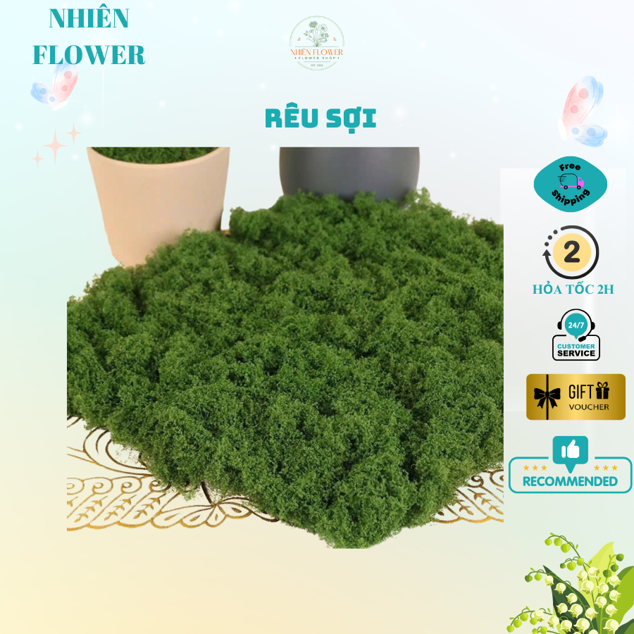 Rêu Sợi Dùng Trang Trí Tiểu Cảnh, Phủ Gốc Cây Bonsai, Phủ Chậu Hoa, Decor và Trang Trí Nhà Cửa