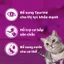 WHISKAS Pate Nhiều Cá Cho Mèo Lớn 70g – 28 gói