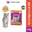 WHISKAS Pate Nhiều Cá Cho Mèo Lớn 70g – 14 gói