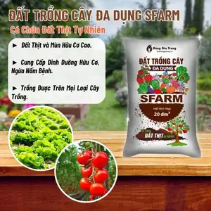 Đất Trồng Cây Đa Dụng SFARM (Bao 20dm ~ 11Kg) Hỗn hợp ĐẤT THỊT, Hạt giống Rạng Đông Rau Ăn Lá