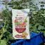 Đất Trồng Cây Đa Dụng SFARM (Bao 20dm ~ 11Kg) Hỗn hợp ĐẤT THỊT, Hạt giống Rạng Đông Rau Ăn Lá